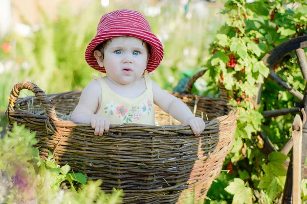 Egy aranyos kis lány ül a széna egy kosárban, a kertben — Stock Fotó