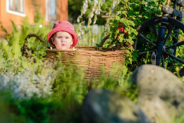 Uma menina bonita senta-se em um feno em uma cesta no jardim — Fotografia de Stock