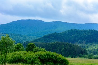 Karpat Dağları'nda Ukrayna köyün muhteşem bir manzara
