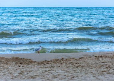 Muhteşem dalgalar la akşam Karadeniz'in muhteşem manzara