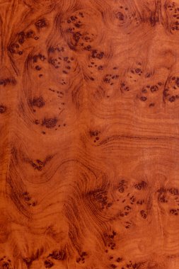 Koyu halkalar ile kahverengi renk mükemmel lake doku