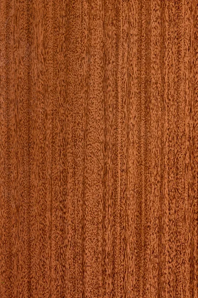 Gyönyörű barna fa háttér a lakkozott texturált rétegelt lemez — Stock Fotó