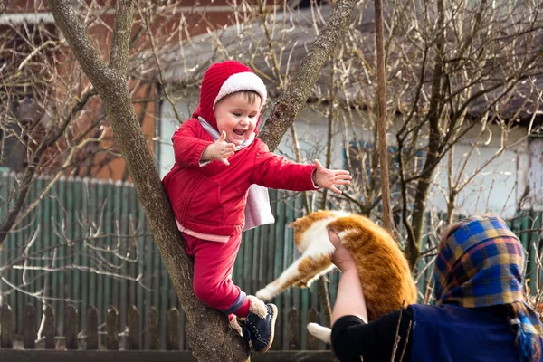 Großmutter Auf Dem Land Schenkt Einer Katze Ein Kind Das — Stockfoto