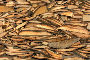 Slippery2018 chaoticly olan kabuk ile ahşap kesme tahtası doku