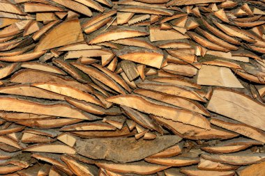 Slippery2018 chaoticly olan kabuk ile ahşap kesme tahtası doku