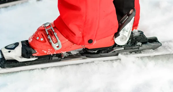 Primer plano de los esquís Primer plano de la pierna humana . —  Fotos de Stock