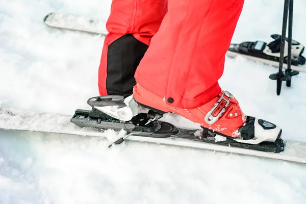 Primer plano de los esquís Primer plano de la pierna humana . —  Fotos de Stock