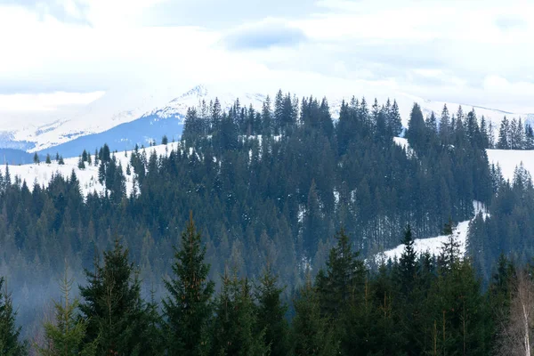 Invierno tranquilo paisaje de montaña estirada y la cordillera de los Cárpatos detrás . — Foto de Stock