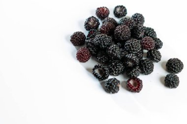 Beyaz arka planda siyah ahududu güzel kokulu ve lezzetlidir..