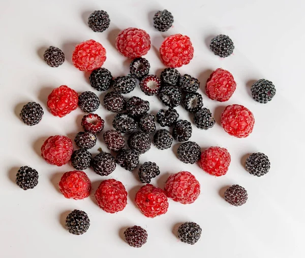 Composición de frambuesa negra y roja sobre fondo blanco . —  Fotos de Stock