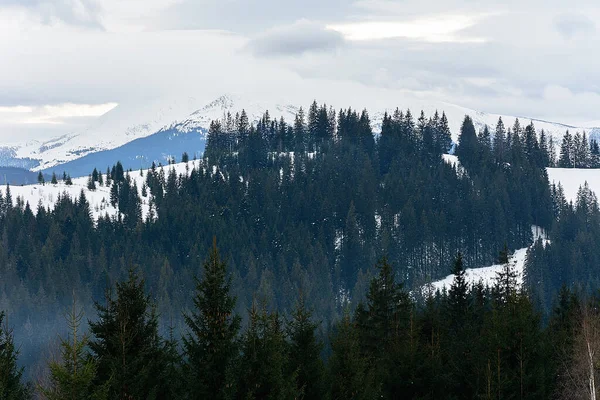 Zima spokojny rozciągnięty górski krajobraz i Karpaty — Zdjęcie stockowe