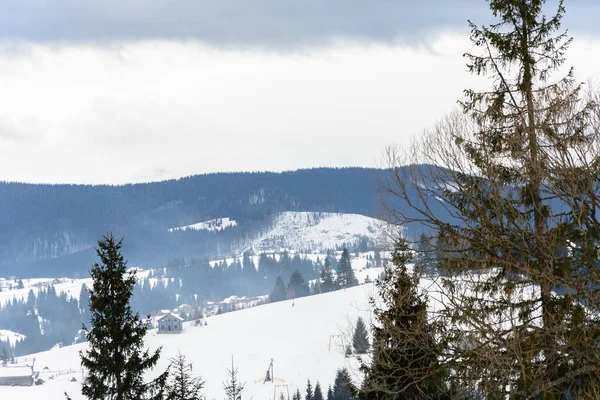 Inverno tranquilo esticado paisagem montanhosa e a cordilheira dos Cárpatos atrás . — Fotografia de Stock