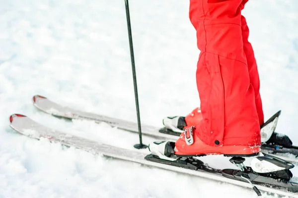 Set sportivo di sci, scarponi e bastoni in rosso sulla gamba della donna da vicino . — Foto Stock