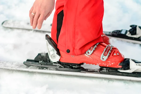 Yablunytsya, Ukraina 2 lutego 2019: kobieta w czerwonych spodniach zapina buty narciarskie, turyści z Ukrainy w wiosce Yablunitsa. — Zdjęcie stockowe