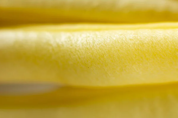 Textura de primer plano de vaina de frijol amarillo . — Foto de Stock