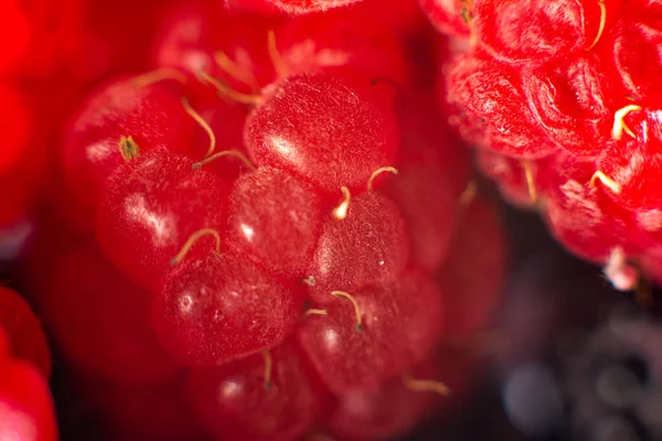 Textura macro de zmeură de grădină roșie . — Fotografie, imagine de stoc