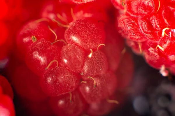 Makrotextur der roten Garten-Himbeeren. — Stockfoto