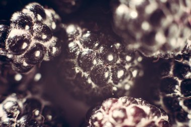 Siyah bahçe böğürtlenli makro..