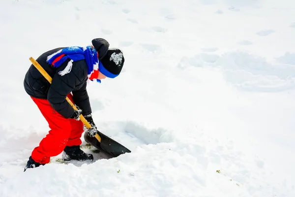 O menino limpa a neve com uma pá . — Fotografia de Stock