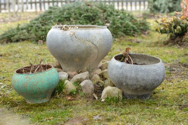 Bahçedeki manzara gibi eski bir sürahi..