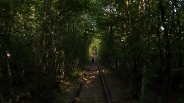 Túnel de amor en Ucrania, un lugar turístico único en la forma de un arco en un bosque denso — Vídeos de Stock