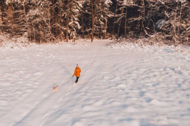 İri köpekli genç kız çam ağacında koşuyor..