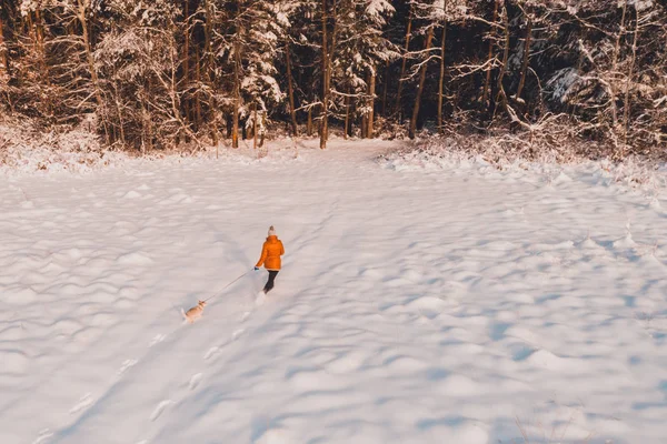 Młoda dziewczyna z husky pies biegnie w zimie sosna. — Zdjęcie stockowe