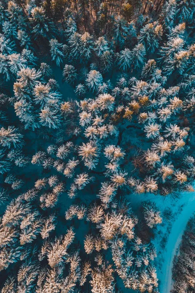 Vista aérea del paisaje montañoso en temporada de invierno . — Foto de Stock