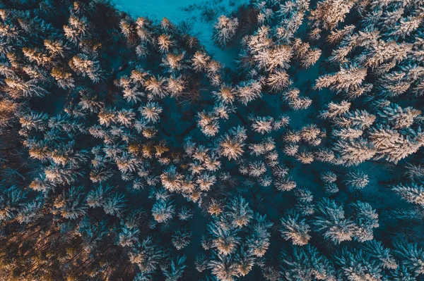 美丽的童话般的冬雪般的清晨森林被无人驾驶飞机射中. — 图库照片