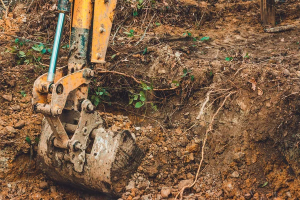 Der Bagger gräbt Erde in den Wald und entwurzelt die Wurzeln der Bäume. — Stockfoto