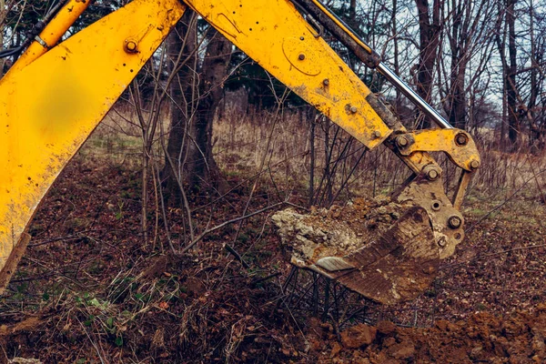 A escavadora escava o solo na floresta e arranca as raízes das árvores . — Fotografia de Stock