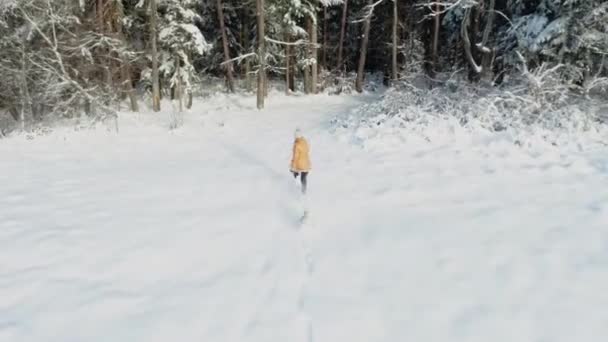 冬の森の中でおずおず子犬と歩く女性のトップビュー2020 — ストック動画