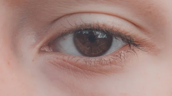 Boy age 10-11, close eye, white skin and squirrel eye. — Stock Photo, Image