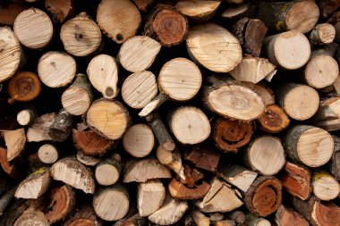 Duvarın dokusu yakacak odun, çok düzgün yerleştirilmiş..