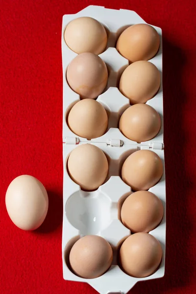 White plastic tray with eggs on red background.