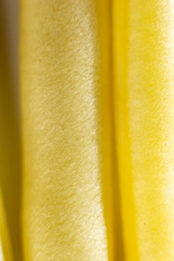 Close-up texture of yellow bean pod new