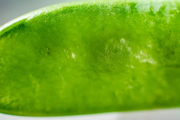 Schalen von grünen appetitlichen und frischen Erbsen. — Stockfoto