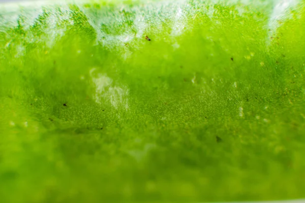 Yeşil kabuklar iştah açıcı ve taze bezelyeler.. — Stok fotoğraf