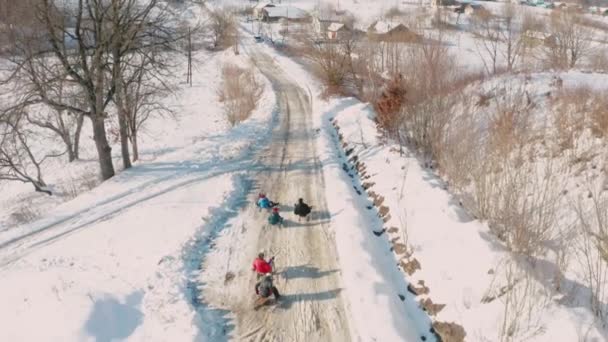Many Young Children Sledding Village Winter Break Aerial View Top — Stock Video