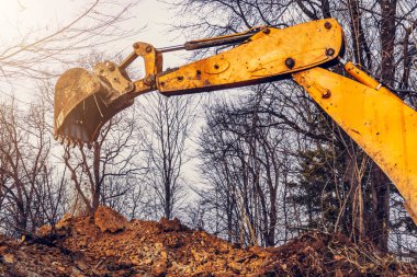 Ormanın ortasında yaşlı sarı bir kazıcı su toplamak için bir kepçe çukuru kazıyor. 2020