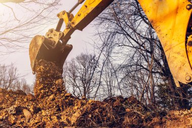 Kazı makinesi, ormanın içinde bir kovayla toprağı kazarak kazı çalışması yapıyor. 2020