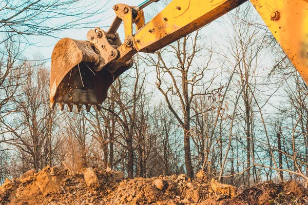 Kazı makinesi, ormanın içinde bir kovayla toprağı kazarak kazı çalışması yapıyor. 2020