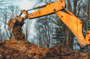 Ormanın ortasında yaşlı sarı bir kazıcı su toplamak için bir kepçe çukuru kazıyor. 2020