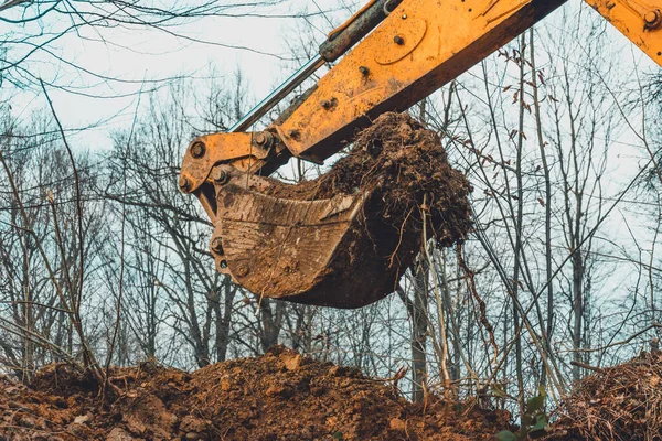 Uma Velha Escavadora Amarela Meio Floresta Escava Poço Conchas Para — Fotografia de Stock