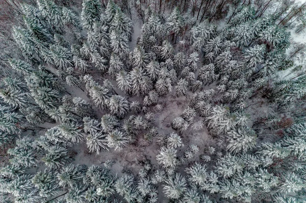Красивый Живописный Зимний Лес Заснеженными Деревьями Вид Воздуха 2020 — стоковое фото