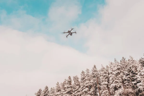 Drone Vole Hiver Dessus Forêt Filme Des Vidéos Paysagères 2020 — Photo