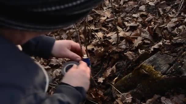 Een tuinvrouw verstopt een afgehakt deel van de geënte boom om rotting op deze plek in close-up te voorkomen.. — Stockvideo