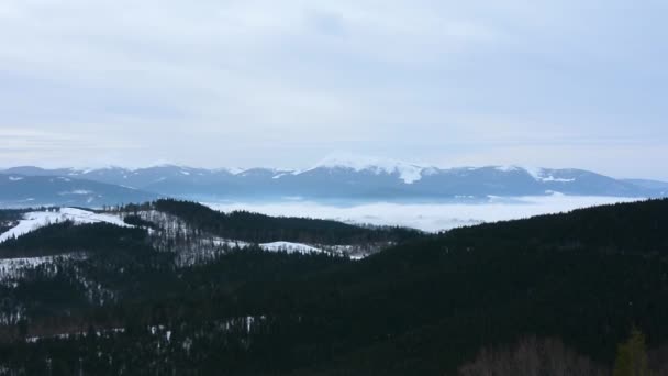 Majestätiskt Naturlandskap Vintersäsongen Blå Bergskedja Solnedgången Ljusa Färger Bukovel Resort — Stockvideo