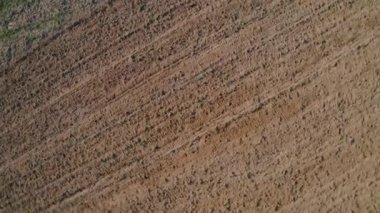 Toprağı bir tırmıkla sürdükten sonra tarım arazisindeki çizgi dokusunu. İHA uçururken en iyi görüntü. 4k video.