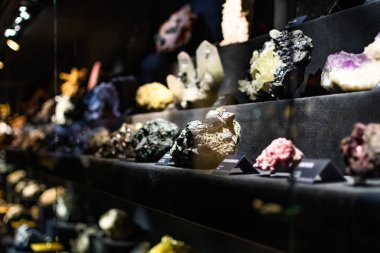 Floransa, İtalya 01 14 2018: Mineral Müzesi koleksiyonunda